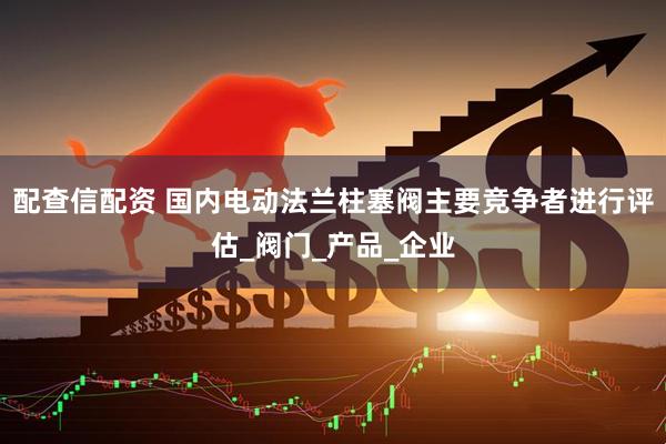 配查信配资 国内电动法兰柱塞阀主要竞争者进行评估_阀门_产品_企业